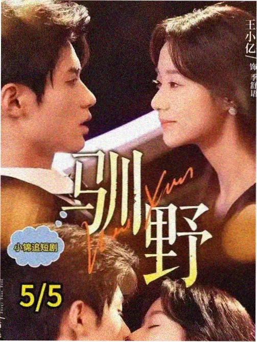 tao影视热播榜第二名海报